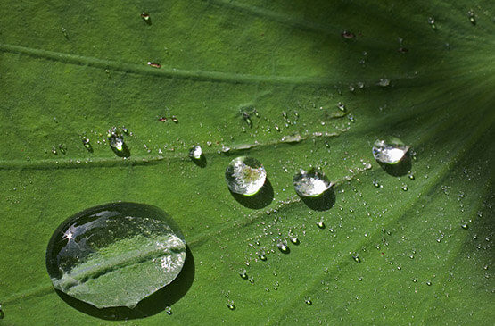 Hydrophobierung